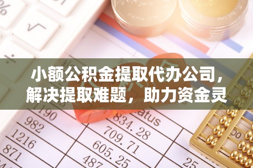 头屋小额公积金提取代办公司，解决提取难题，助力资金灵活使用