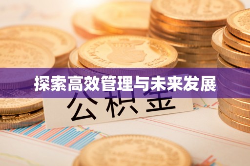 头屋探索高效管理与未来发展