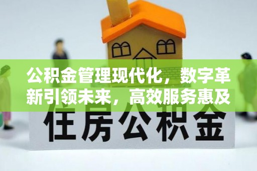 头屋公积金管理现代化，数字革新引领未来，高效服务惠及民生
