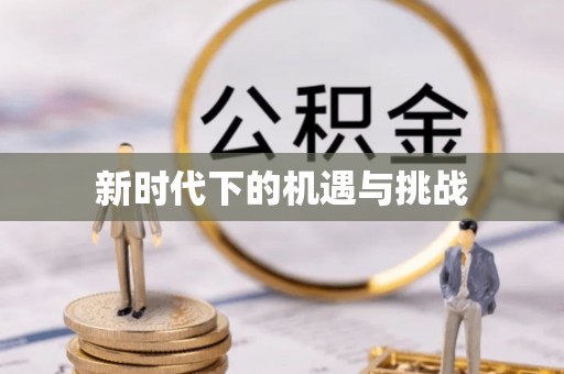 头屋新时代下的机遇与挑战