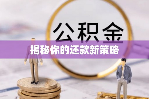 头屋揭秘你的还款新策略