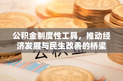 头屋公积金制度性工具，推动经济发展与民生改善的桥梁