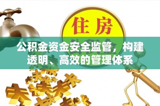 头屋公积金资金安全监管，构建透明、高效的管理体系