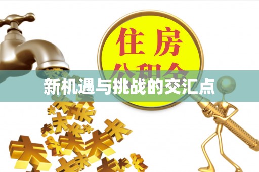 头屋新机遇与挑战的交汇点