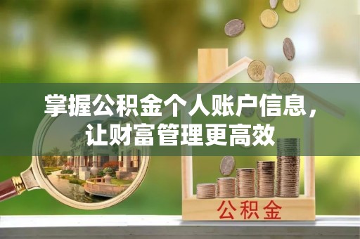头屋掌握公积金个人账户信息，让财富管理更高效