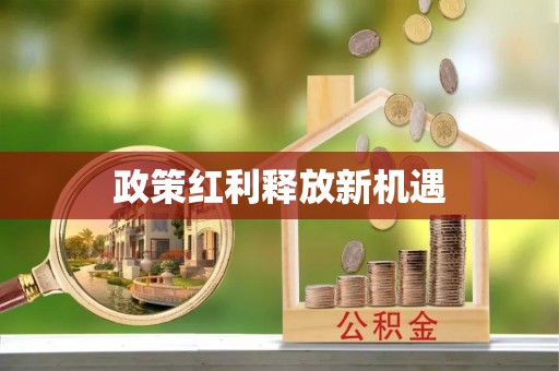 头屋政策红利释放新机遇