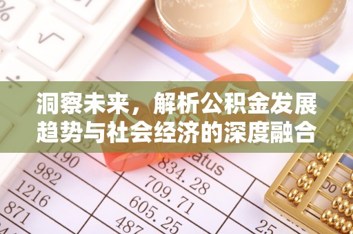 头屋洞察未来，解析公积金发展趋势与社会经济的深度融合