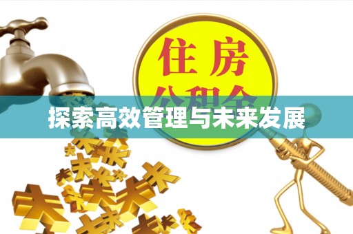 头屋探索高效管理与未来发展