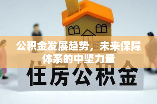 头屋公积金发展趋势，未来保障体系的中坚力量