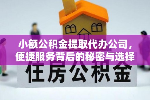 头屋小额公积金提取代办公司，便捷服务背后的秘密与选择指南