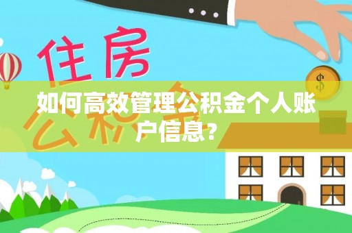 头屋如何高效管理公积金个人账户信息？