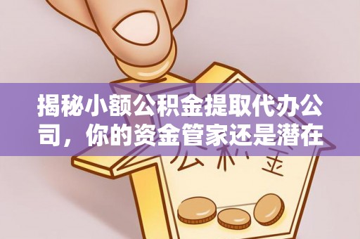 头屋揭秘小额公积金提取代办公司，你的资金管家还是潜在风险？
