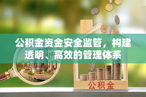头屋公积金资金安全监管，构建透明、高效的管理体系