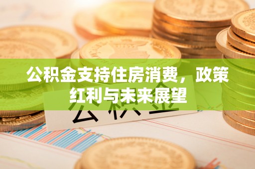 头屋公积金支持住房消费，政策红利与未来展望