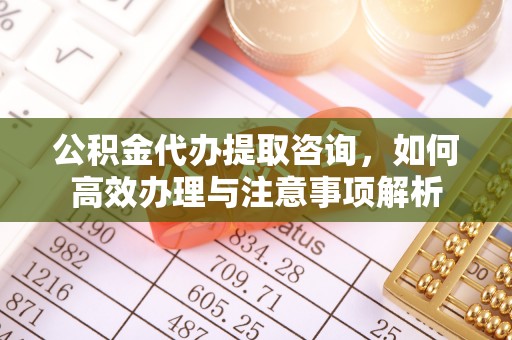 头屋公积金代办提取咨询，如何高效办理与注意事项解析