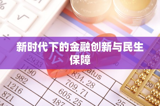 头屋新时代下的金融创新与民生保障